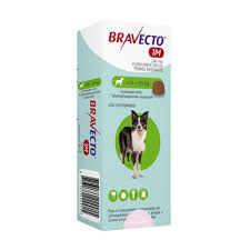Bravecto Perro 10 a 20 kg antiparasitario externo 1 M