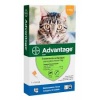 Advantage Hasta 4 Kg - Pipeta Antipulgas Para Gatos