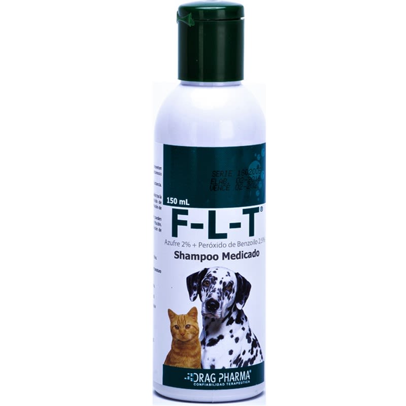 shampooflt6684