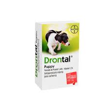 drontal puppy