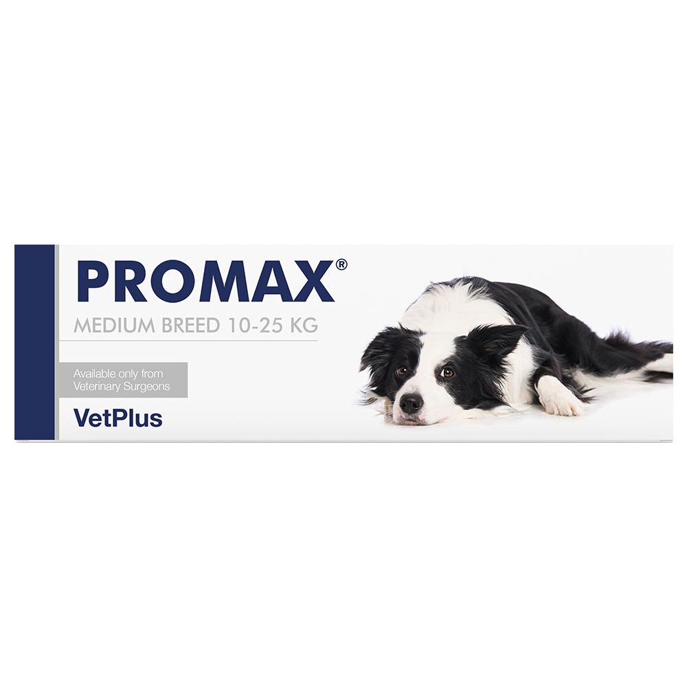 promax-medium-breed