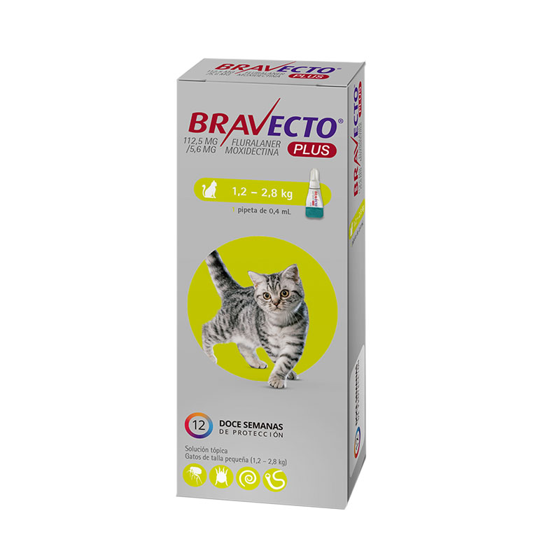 Bravecto Plus Gato 1,2 a 2,8 kg 112,5 mg